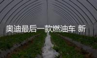 奧迪最后一款燃油車 新Q8將2026年推出