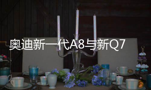 奧迪新一代A8與新Q7同平臺 支持自動駕駛