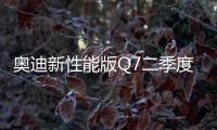 奧迪新性能版Q7二季度交車 百公里4.8秒