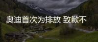 奧迪首次為排放 致歉不會(huì)重蹈覆轍