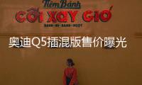 奧迪Q5插混版售價曝光 搭2.0T引擎11月預售