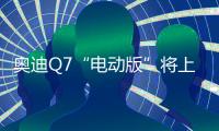 奧迪Q7“電動版”將上市 油耗下降達7成