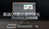 奧迪Q8路試諜照曝光 將亮相日內瓦車展