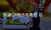 奧迪Q8概念車亮相 雙電機混動效率驚人