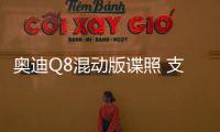 奧迪Q8混動版諜照 支持三種動力駕駛模式