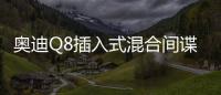 奧迪Q8插入式混合間諜測試在平原視線中