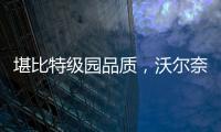 堪比特級園品質，沃爾奈知名一級園