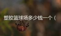 塑膠籃球場多少錢一個（塑膠籃球場價格）