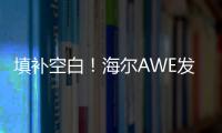 填補空白！海爾AWE發布行業首個雙動力技術標準【科技】風尚中國網
