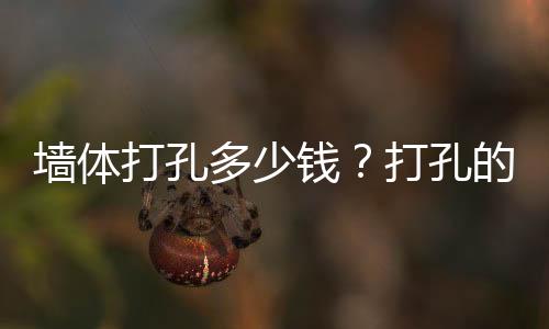 墻體打孔多少錢？打孔的工具有哪些？
