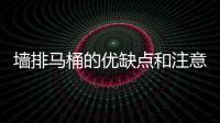 墻排馬桶的優缺點和注意事項