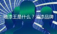 墻漆王是什么？油漆品牌推薦