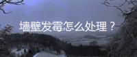 墻壁發霉怎么處理？