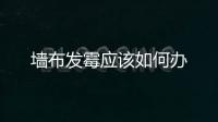 墻布發霉應該如何辦