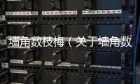 墻角數枝梅（關于墻角數枝梅的基本情況說明介紹）