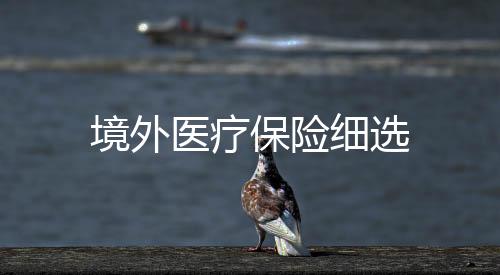 境外醫療保險細選