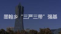 墨翰鄉“三嚴三帶”強基固本 凝聚發展新動能