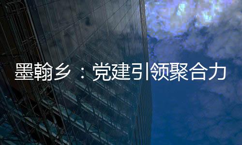 墨翰鄉：黨建引領聚合力 共建道路惠民生