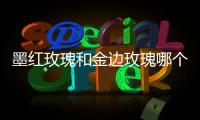 墨紅玫瑰和金邊玫瑰哪個(gè)好？墨紅玫瑰更勝一籌