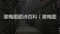 墨梅圖題詩百科（墨梅圖題詩中的好字什么讀音）