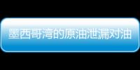 墨西哥灣的原油泄漏對油價走勢暫沒有顯著影響
