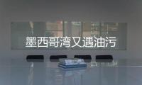 墨西哥灣又遇油污