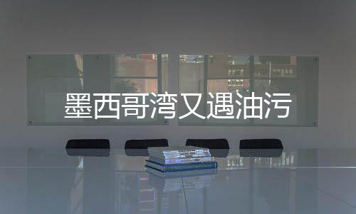 墨西哥灣又遇油污
