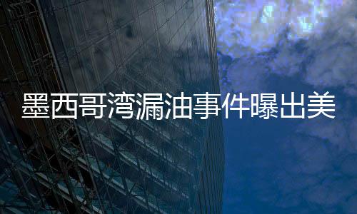 墨西哥灣漏油事件曝出美國(guó)政商勾結(jié)