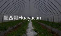 墨西哥Huayacán酒店，中和堅固與輕盈（組圖）