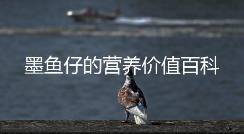 墨魚仔的營(yíng)養(yǎng)價(jià)值百科