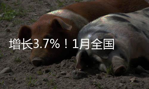 增長3.7%！1月全國鐵路完成固定資產投資439億元｜快訊