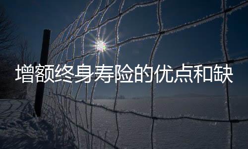 增額終身壽險(xiǎn)的優(yōu)點(diǎn)和缺點(diǎn)保之道