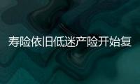 壽險依舊低迷產險開始復蘇 五大險企1月份保費增速創四年新低