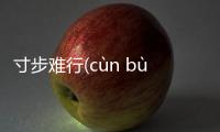 寸步難行(cùn bù nán háng)真的還是假的?