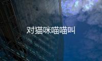 對貓咪喵喵叫