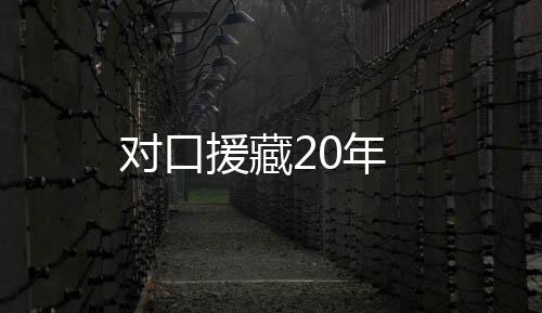 對口援藏20年