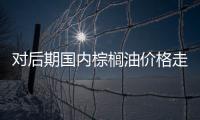對后期國內棕櫚油價格走勢的幾點看法
