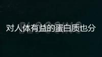 對人體有益的蛋白質也分“三六九等”？