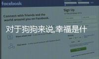 對于狗狗來說,幸福是什么
