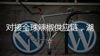 對接全球辣椒供應鏈，湖北首個“辣交所”即將投入運營