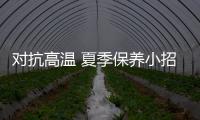 對抗高溫 夏季保養(yǎng)小招式
