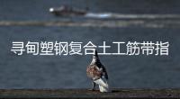 尋甸塑鋼復(fù)合土工筋帶指標(biāo)