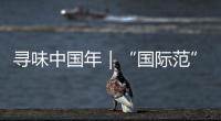 尋味中國年｜“國際范”的中國年
