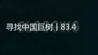 尋找中國巨樹丨83.4米！中國巨樹首次攀測綜合科考完成—新聞—科學網