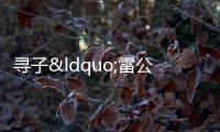 尋子“雷公”稱想要兒子直播帶貨 情感修復(fù)成新挑戰(zhàn)
