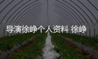 導演徐崢個人資料 徐崢是如何從演員蛻變成導演的