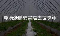 導(dǎo)演張鵬翼胃癌去世享年80歲 曾與吳京鄭少秋合作
