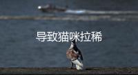 導(dǎo)致貓咪拉稀