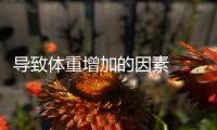 導(dǎo)致體重增加的因素  什么導(dǎo)致你肥胖