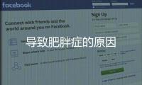 導致肥胖癥的原因